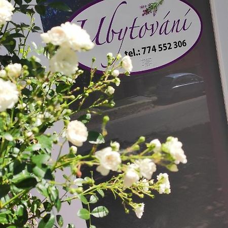 Apartmán Café u Kordulky Ratiskovice Exterior foto